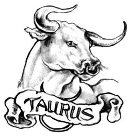 Taurus_1